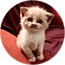 Adrasan Tekne Turu adrasan tekne turu