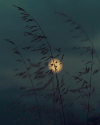 Adrasan Mehtap Tekne Turu Adrasan Mehtap Turu Fiyatları Ne Kadar